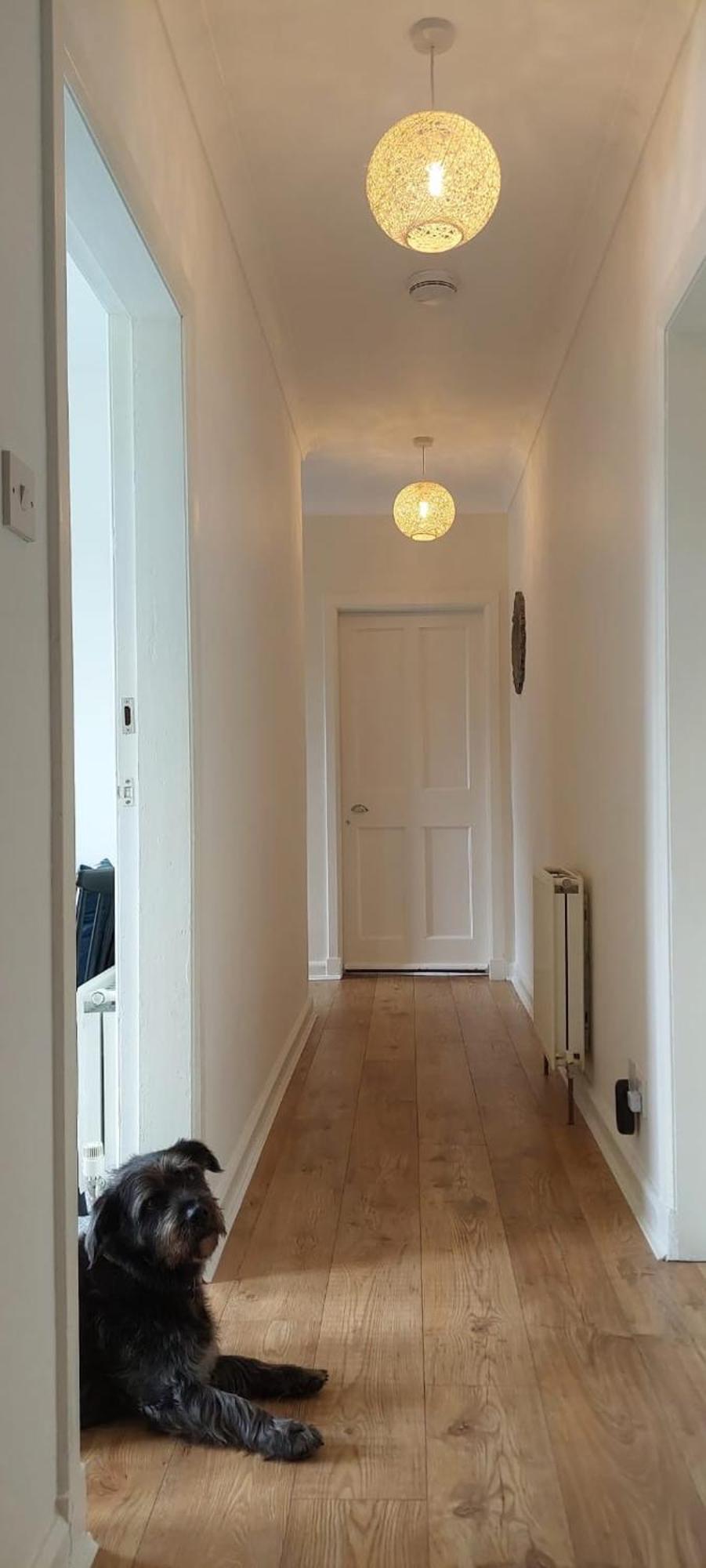 Lovely Sea Rooms, Easy Access To Centre & Airport Edinburg Exteriör bild